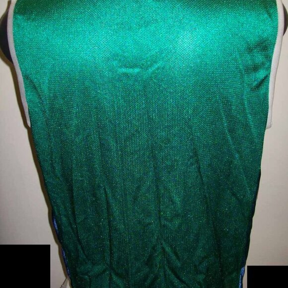 10 MINNESOTA LYNX WNBA Blank REEBOK Jerseys GREEN    LARGE - Picture 3 of 5